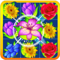 Flower Storm
