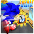 Subway Hedgehog City Run加速器