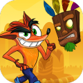 Bandicoot Adventure In Jungle