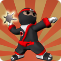 Star Ninja