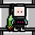 Pockethibis