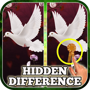 Hidden Difference: Sweetheart加速器