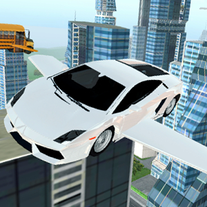 Flying Car Simulator加速器