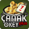 Çanak Okey Plus加速器