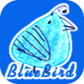 bluebird 2017 ????