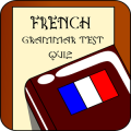 French Grammar Test