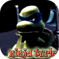 Ninja Turtle fighting Shredder加速器