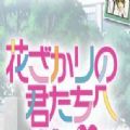 花样少男少女Boys love you