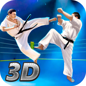 Karate Fighting Tiger 3D - 2加速器