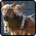 Quebra-Cabeça Cavalos
