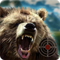 Black Bear Target Shooting