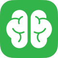 Brain Fitness memory training