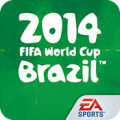 FIFA 巴西世界杯
