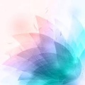 Actfind