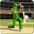 Pak vs Aus Cricket Game Live