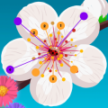 Aa Dots Color Flowers