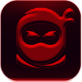 Running Ninja Go
