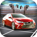 Car Driver Parking