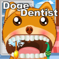 Doge Dentist加速器