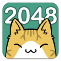 Cat 2048