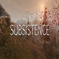 Subsistence加速器