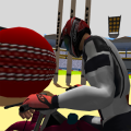 Bike Cricket 3D