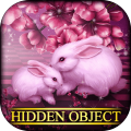Hidden Object - Sweetheart