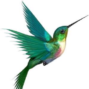 Flappy Hummingbird 蜂鸟飞飞