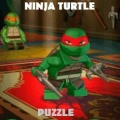 ninjaGO turtle warrior puzzle加速器