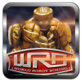 2017 Real Steel WRB Tips