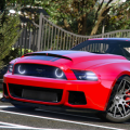 Extreme Mustang Simulator
