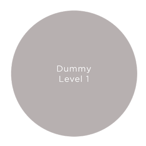 Dummy_level_1加速器