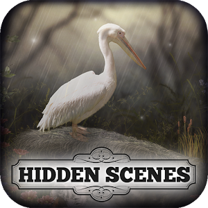 Hidden Scenes - April Showers加速器