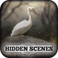 Hidden Scenes - April Showers