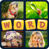 4 pics 1 word 2018加速器