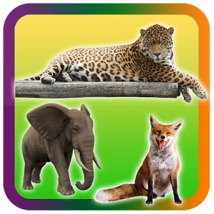 Wild Animals Pictures Puzzle加速器