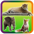 Wild Animals Pictures Puzzle