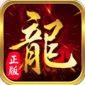 龙魂天下加速器