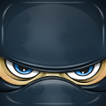 Ninja Dragon