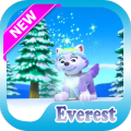 Paw Everest Adventure