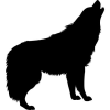 wolves quiz加速器