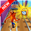 New Crazy Fox Crash Adventure