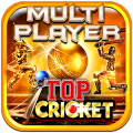 Top Cricket