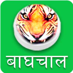 BaghChal - Tigers and Goats