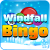 Windfall Bingo加速器