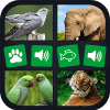 Animal sounds+pictures App For kids加速器