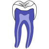 Dentist quiz
