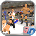WWE Wrestling 3D