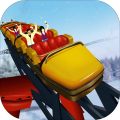 Roller Coaster