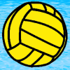 Waterpolo Manager FREE加速器
